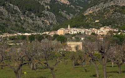 Excursió Campanet-Binibona