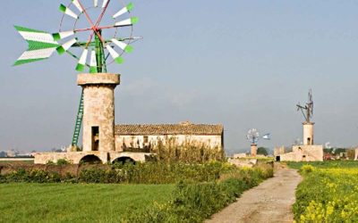 Excursión Algaida – Sant Jordi. Domingo 28 de octubre