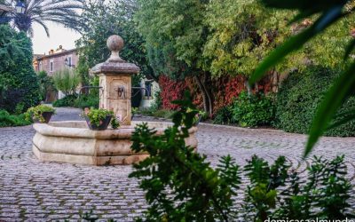 Excursió NW Binissalem-Biniagual. Diumenge, 17 de febrer de 2019.