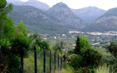 Excursió Caimari-Mancor-Selva. Diumenge 31 de març.