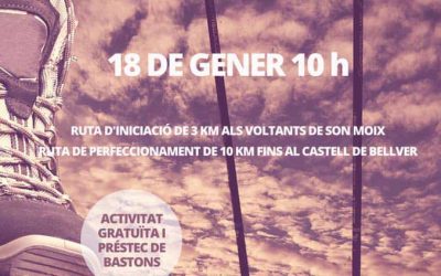 NWPalma participa a l’activitat NW Sant Sebastià 2020. Dissabte 18 a les 10h a Son Moix