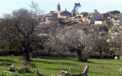 Excursió Voltants de Llubí – Agroturisme Sa Casa Roja