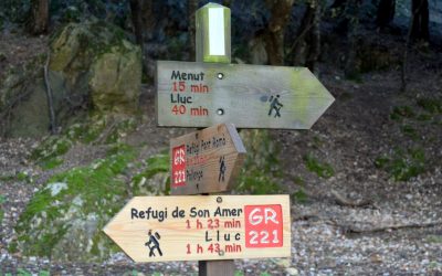 NwPalma i PassaPassa al pont de les Illes Balears a Lluc