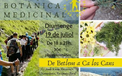 Passejada Botànica. Diumenge 19 de Juliol. Colònia de Sant Pere
