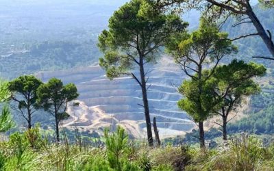 Excursió diumenge 29 de novembre. Lloseta i voltants.