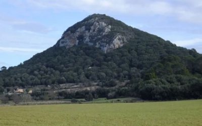 Excursió Sant Joan – Puig de Sant Nofre. Diumenge 13 de desembre