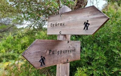 Excursió voltants de Puigpunyent i Sa Campaneta