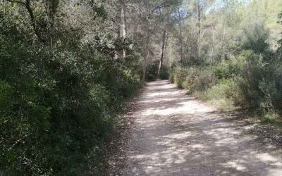 Excursió per la Vall Verda, entre Peguera i Es Capdellà
