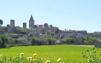 Excursió Biniali-Sencelles. Diumenge 19 de desembre
