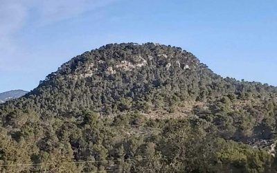 Excursió Puigpunyent-Na Bauçana per Conques.