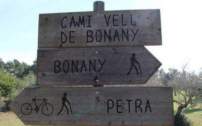 Villafranca – Puig de Bonany. Diumenge 10 d’abril.