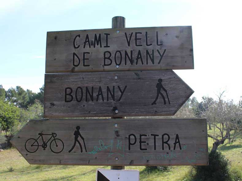 Villafranca – Puig de Bonany. Diumenge 10 d’abril.
