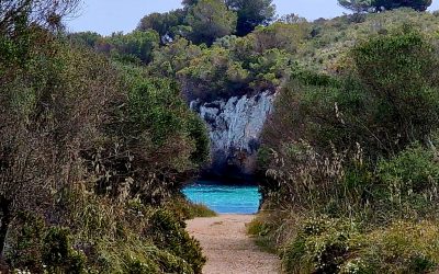 Cales Verges de Cales de Mallorca. 7 de maig.