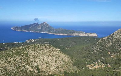 Excursión de montaña: Puig d’en Farineta desde s’Arracó