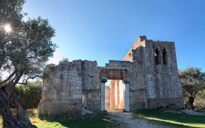 Selva y la Ermita de Crist Rei