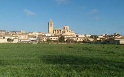 Excursión por los alrededores de Ariany. Domingo 4 de febrero.