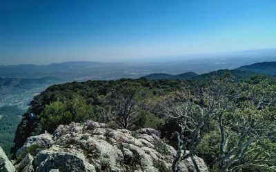 Excursión de montaña al Penyal d’Honor (Bunyola)