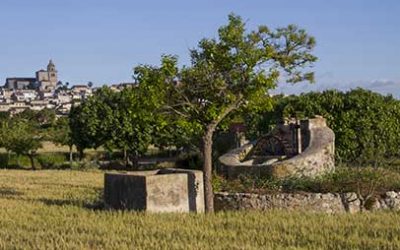 Passejada Montuïri – Puig de Sant Miquel. Dissabte 17 de febrer.