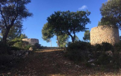 Excursión Puig d’en Tonet (s’Arracó-Andratx)