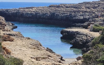 Excursió Portocolom – Cala Sa Nau – Cala Estreta