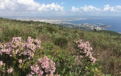 Excursión de montaña. Domingo 13 de octubre. Puig Gros de Bendinat