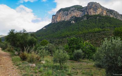 Vuelta al Puig de Sant Miquel (Alaró). Excursión de montaña. Domingo 10 de noviembre