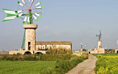 Excursió diumenge 15 de desembre: Voltants de Sant Jordi