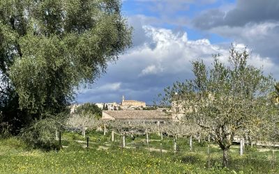 Excursió Lloret de Vistalegre – Son Brondo. Dissabte 4 d’octubre.