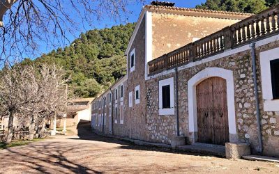 Excursió:Coll des Vents (Esporles) – Planícia – Banyalbufar. Diumenge 12 d’octubre