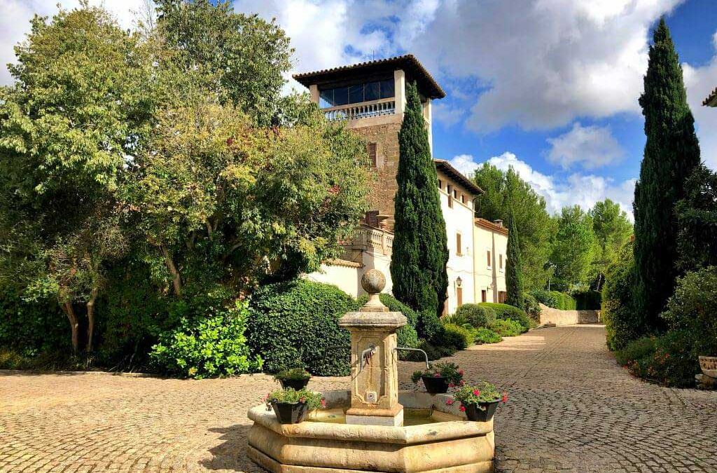 Biniali y sus alrededores. Sábado 8 de noviembre