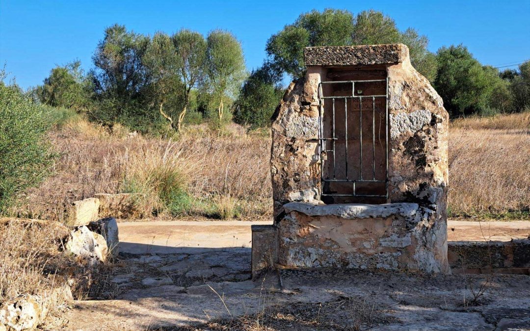 Excursión: Campos y s’Alqueria Roja. Sábado 29 de noviembre.