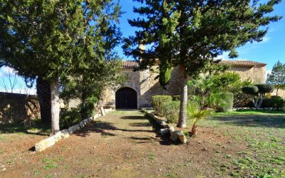 La 1ª excursió de l’any: Algaida – Castellitx de la Pau. Diumenge 11 de Gener