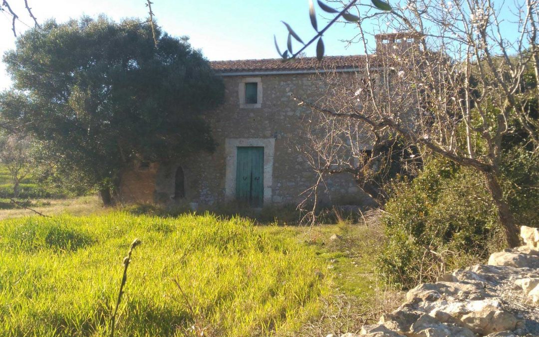 Excursió “Es Carritxó”. Diumenge 1 de febrer.