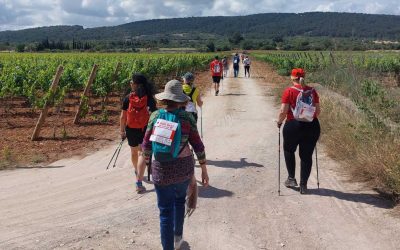 NWPalma participa a la Marxa Wine Days 2026. Dissabte 30 de maig
