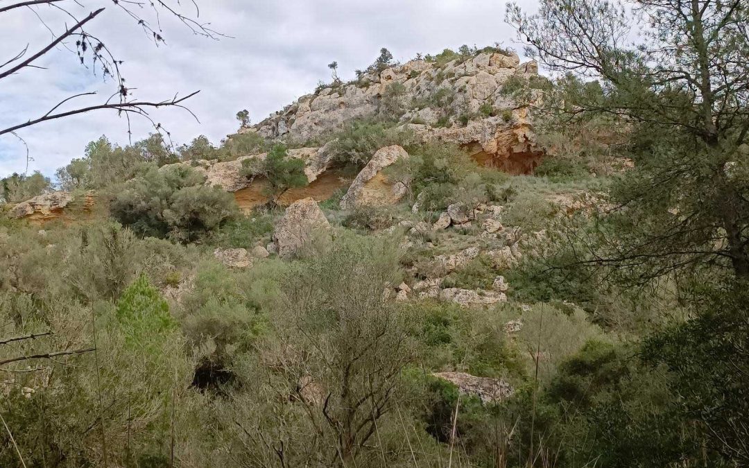Excursió per Son Gual i el seu torrent (Palma). Diumenge 4 d’octubre.