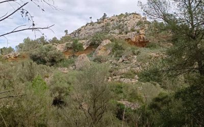Excursió per Son Gual i el seu torrent (Palma). Diumenge 4 d’octubre.